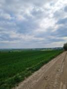 Top Rybczewice