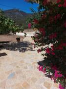 Top DhĂdhima Top DhĂdhima