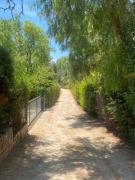 Top Las Cabras Top Las Cabras