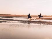 Appartement 2 pièces, 5 pers., parking, proche plage - FR-1-465-124