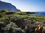 Top Buenavista del Norte