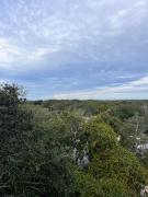 Top Gulf Highlands