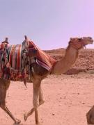 Top Tahannout Top Tahannout