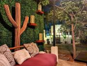 Top San José del Cabo