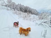 Ferienwohnung Traumblick