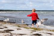 Top Zingst Top Zingst