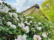 Ferienhaus im Schluh