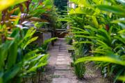 Top Palenque