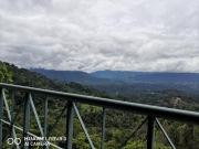 Top Bukit Tinggi