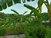 Yalakú Lodge - Capurganá