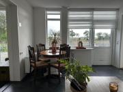 Het Tinkerparadijs, paarden, rust en ruimte.