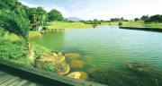 Top Alor Gajah