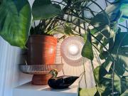 Top Tallinn Top Tallinn