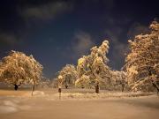 Top Hombrechtikon Top Hombrechtikon