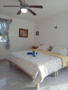 Estudio Coatí Azul en la Isla de Cozumel en el Caribe