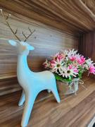 The viva patong condo C602