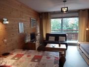 Studio 4 pers, pied des pistes, Les Deux Alpes - FR-1-516-127