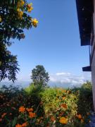Top Bandipur