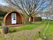 Scotch Pine Glamping Pod