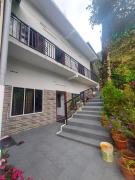 Home Stay Green pepper
