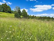 Top Bernau im Schwarzwald