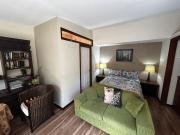 Blue Mountains Studio Retreat, Lyrebird Creek, pet friendly