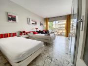 Beau studio 2 personnes LES TUILERIES DRI7