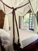 Top Leticia Top Leticia