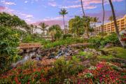 Top Wailea