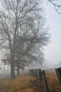 Top Tenterfield