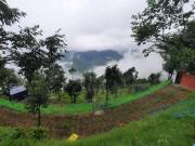 Top Kanatal