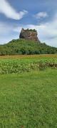 Kings Village Sigiriya