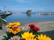 Top Ischia