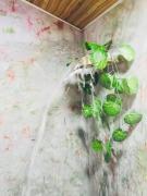 Nature lovers Safari Cottage