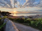 Paulette la Galinette et Laurent le Goéland