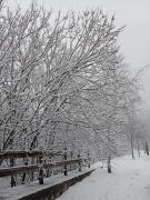 Appartamento Sommeiller