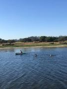 Top Colegio de Bucalemu