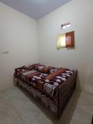 Oryza villa