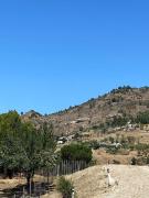 Top Petralia Sottana