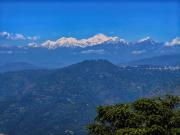 Top Darjeeling