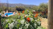 Top Valle Hermoso