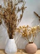 Top Romans-sur-Isère