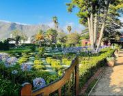 Top Montagu