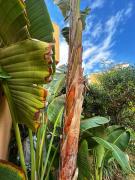 Indalia Natura, apartamento nudista en Vera playa