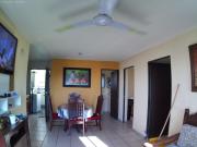 el balcón de los leones