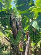 Top Horizonte Top Horizonte