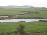 Top Conil de la Frontera