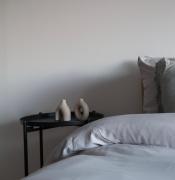 Modern Mountain Getaway