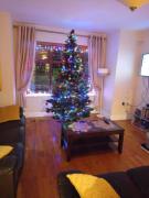 Home near the River Shannon