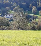 Top Pratolino Top Pratolino